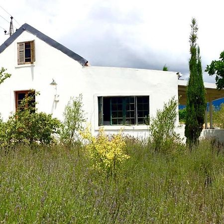 Designer Farm Cottage On Farm Franschhoek Extérieur photo